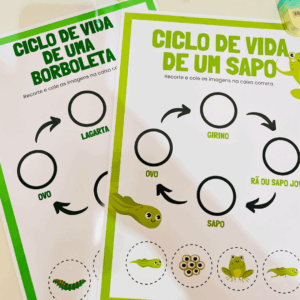 Ciclos de Vida - Sapo e Borboleta