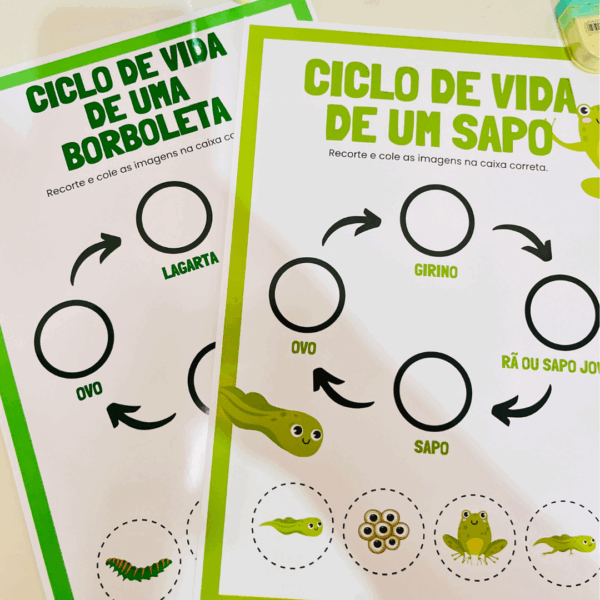 Ciclos de Vida - Sapo e Borboleta